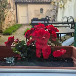 19 Borgo Cavour Treviso